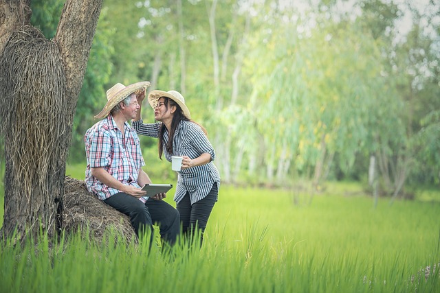 couple, senior, countryside