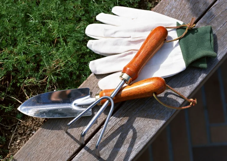 Garden gloves, a hand trowel and a small hand fork resting on a wooden bench beside the lawn
