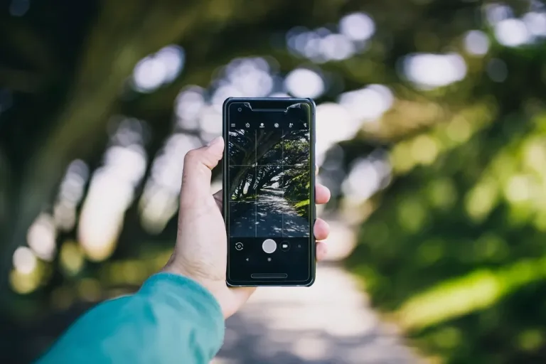 A hand holding a smartphone in front of a leafy, sunlit path