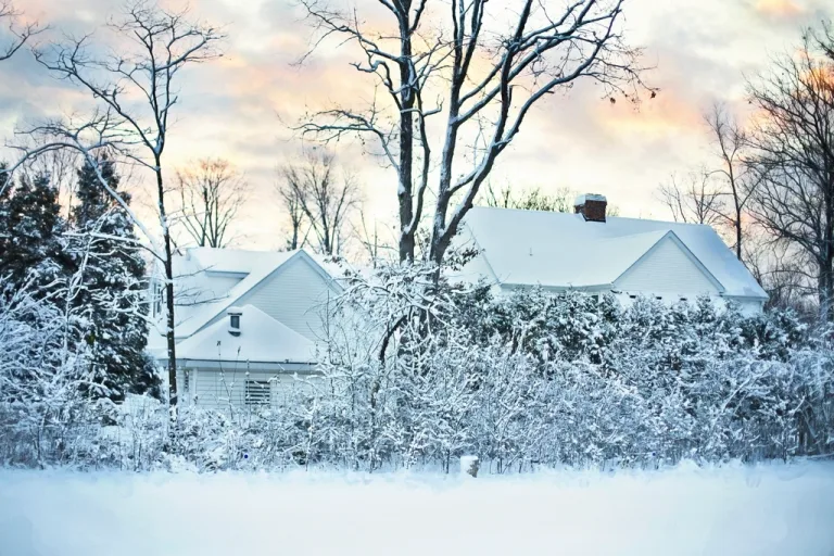 Snow-covered houses and bare trees after a winter storm